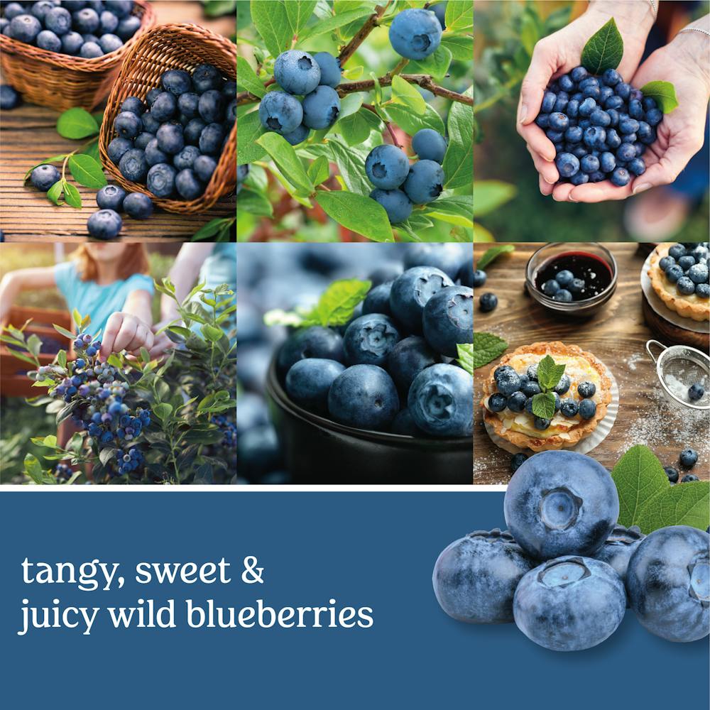 New England Blueberry