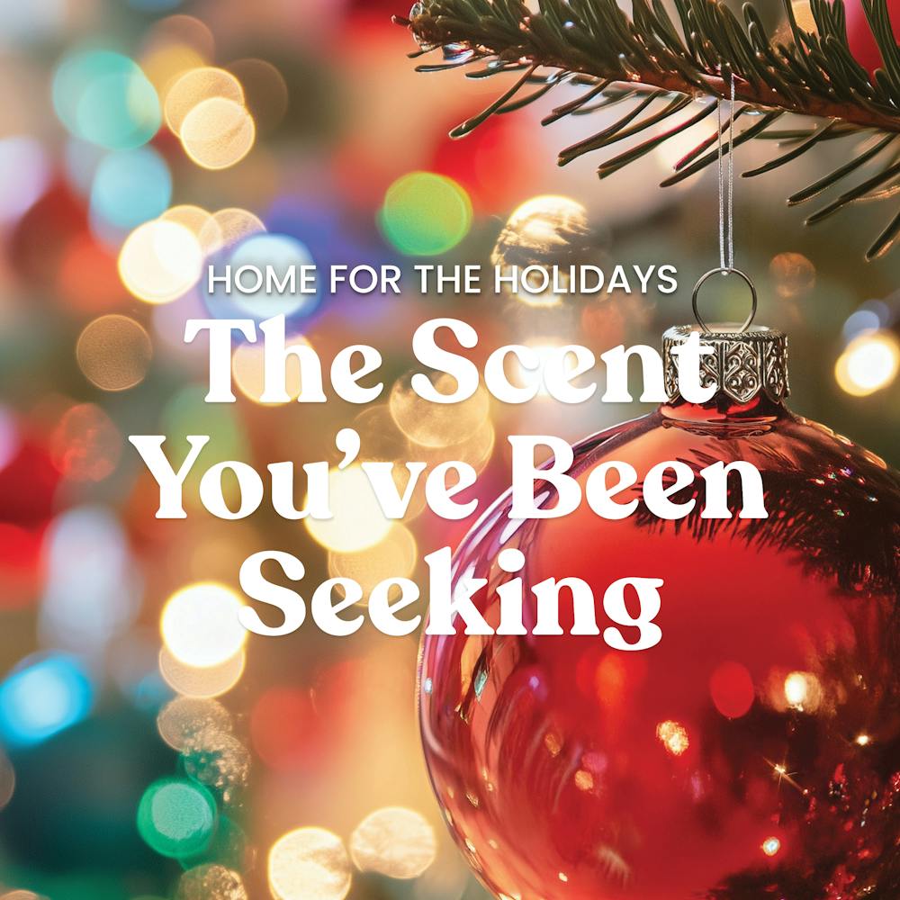 Home for the Holidays