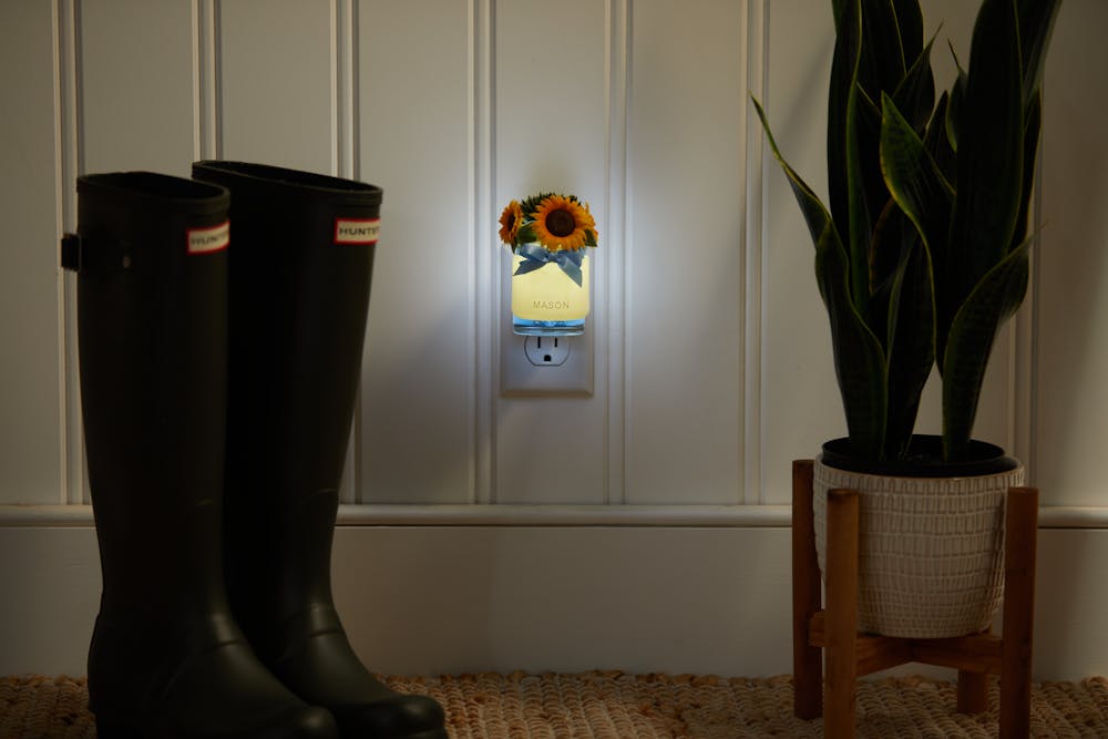 Fall Bouquet ScentPlug® Diffuser w/ Light