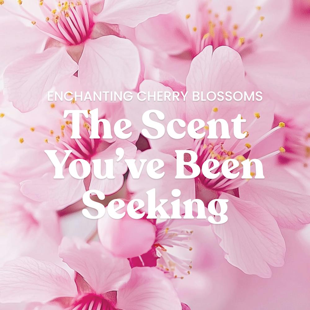 Enchanting Cherry Blossoms
