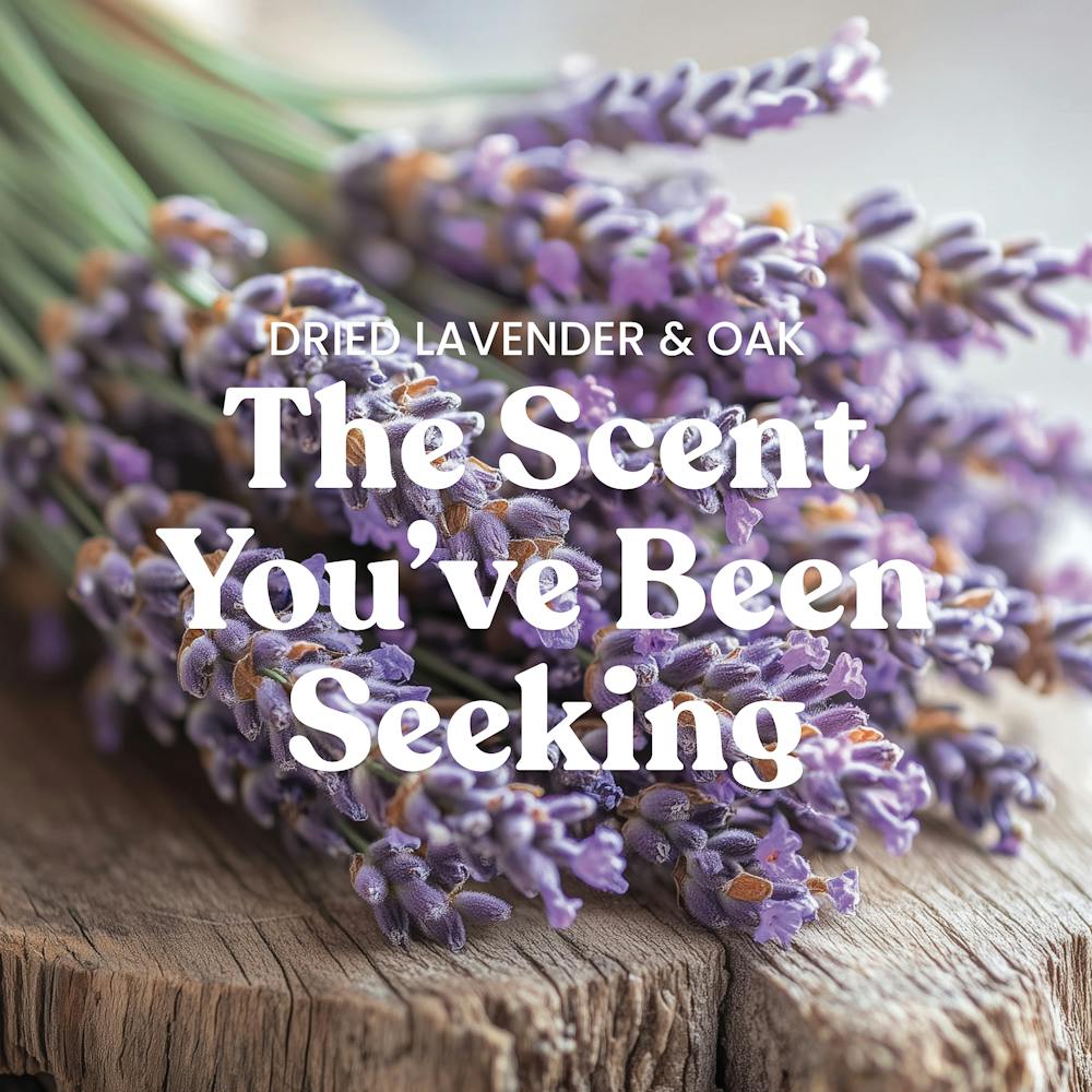 Dried Lavender & Oak