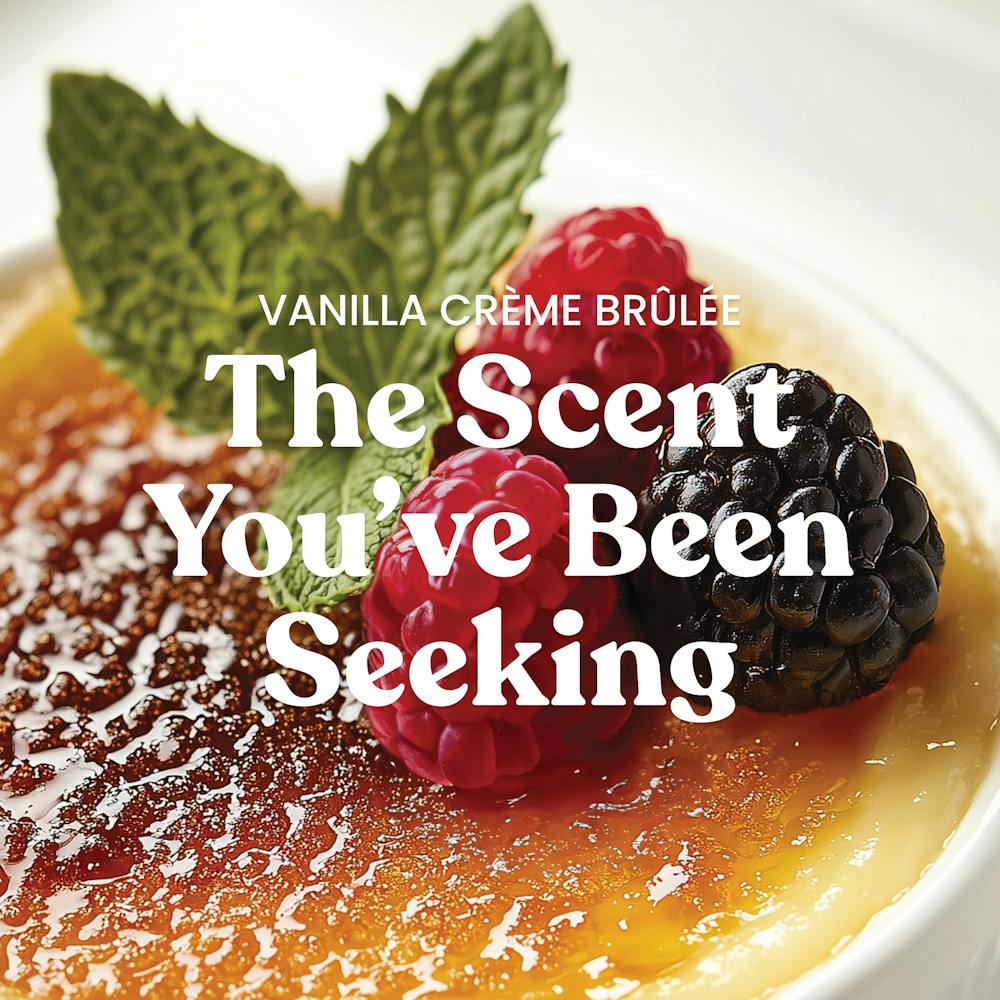 Vanilla Crème Brûlée